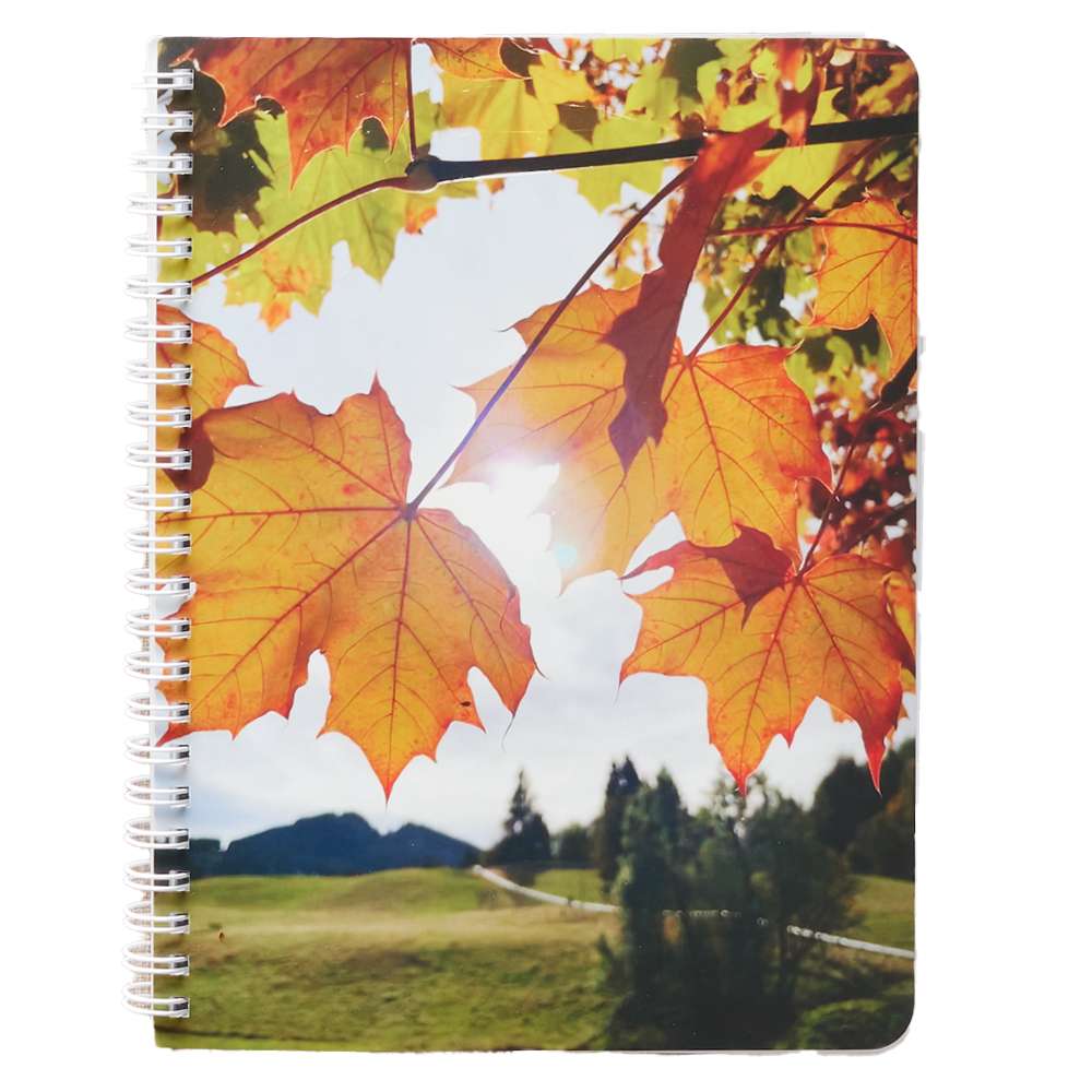 Have Joy Notebook