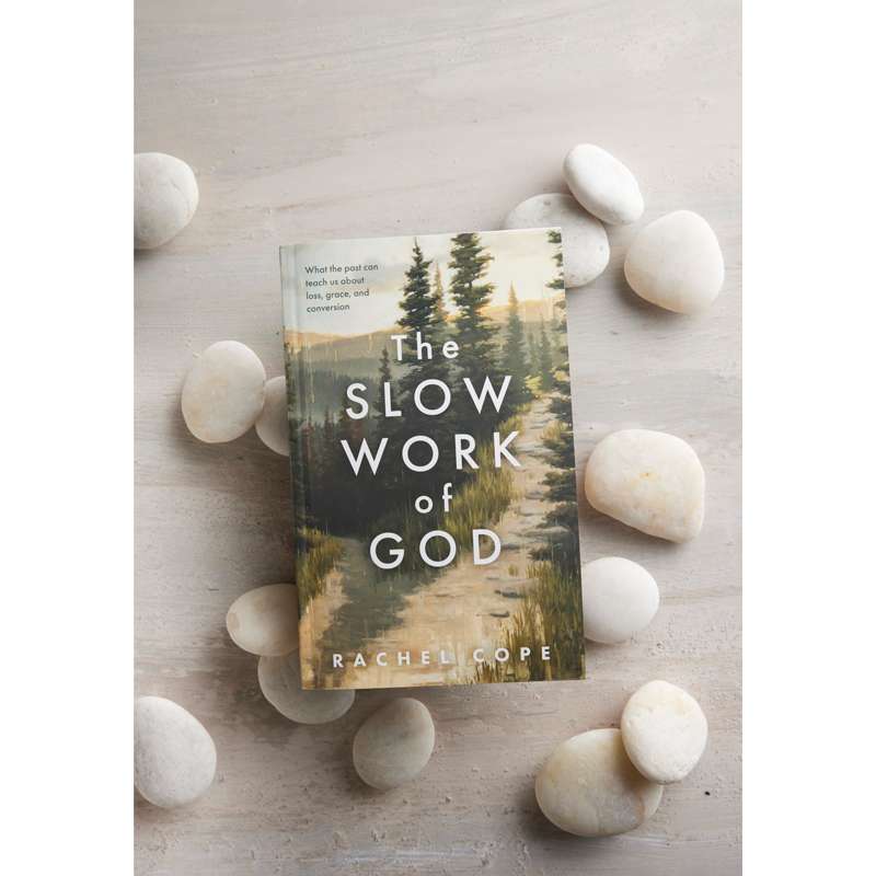 The Slow Work of God, , large image number 5