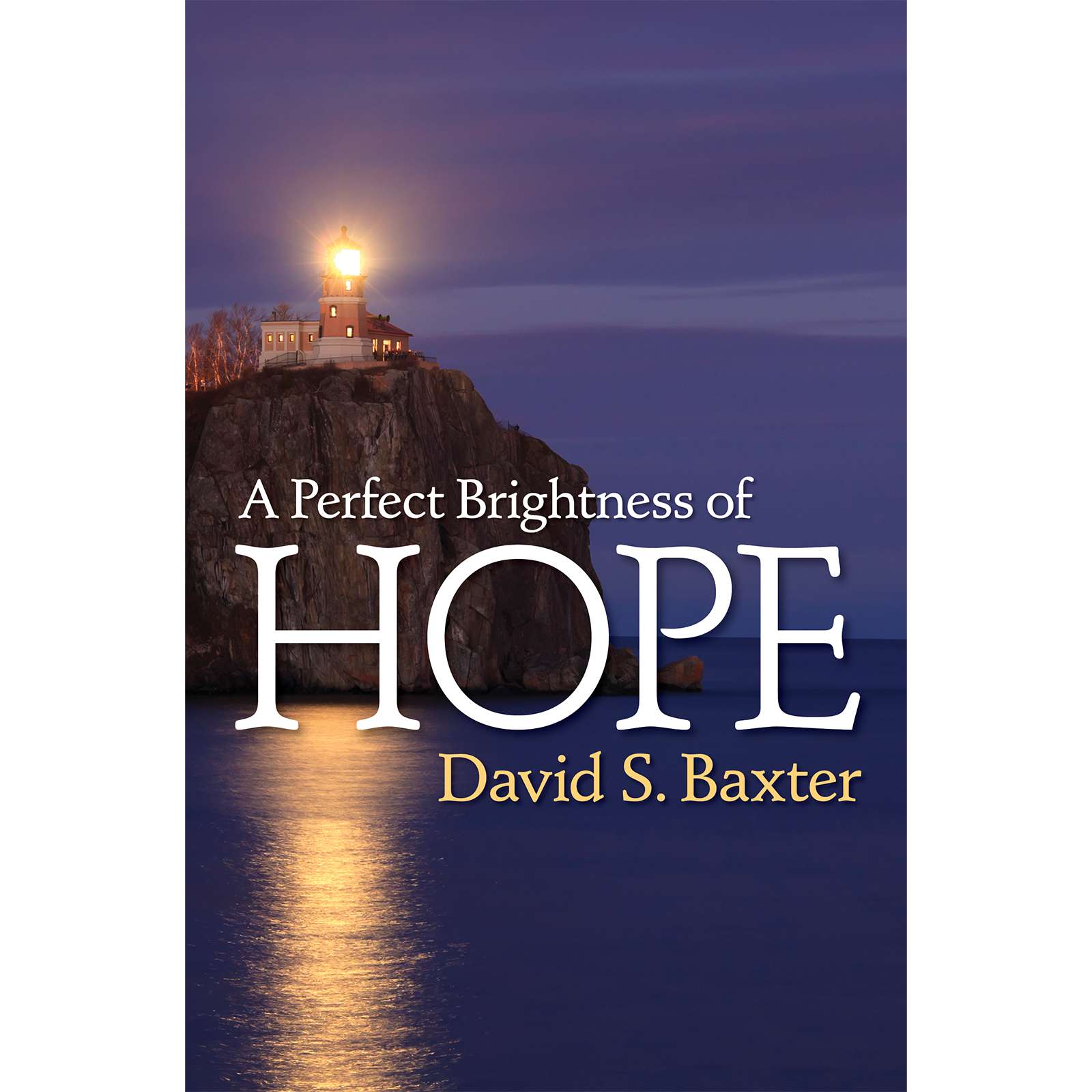A Perfect Brightness of Hope, , large image number 0