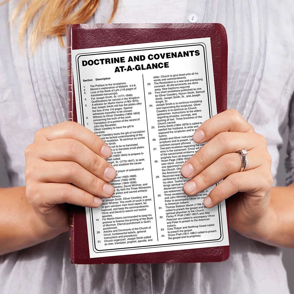 At A Glance Doctrine & Covenants, , large image number 2
