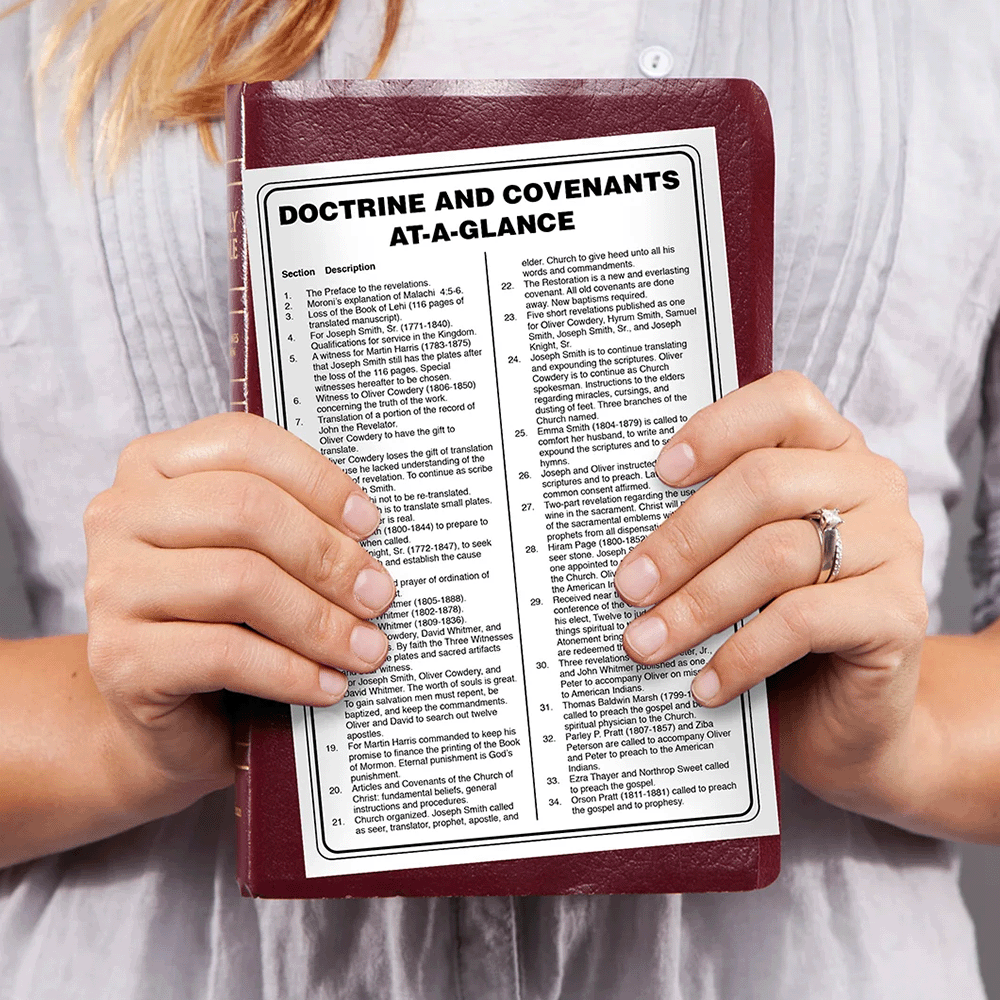At A Glance Doctrine & Covenants, , large image number 2