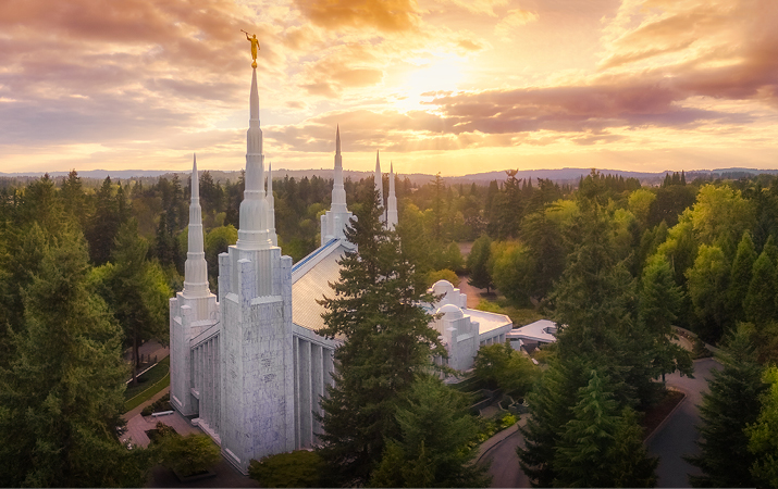 Portland Temple Recommend Holder, , large image number 1