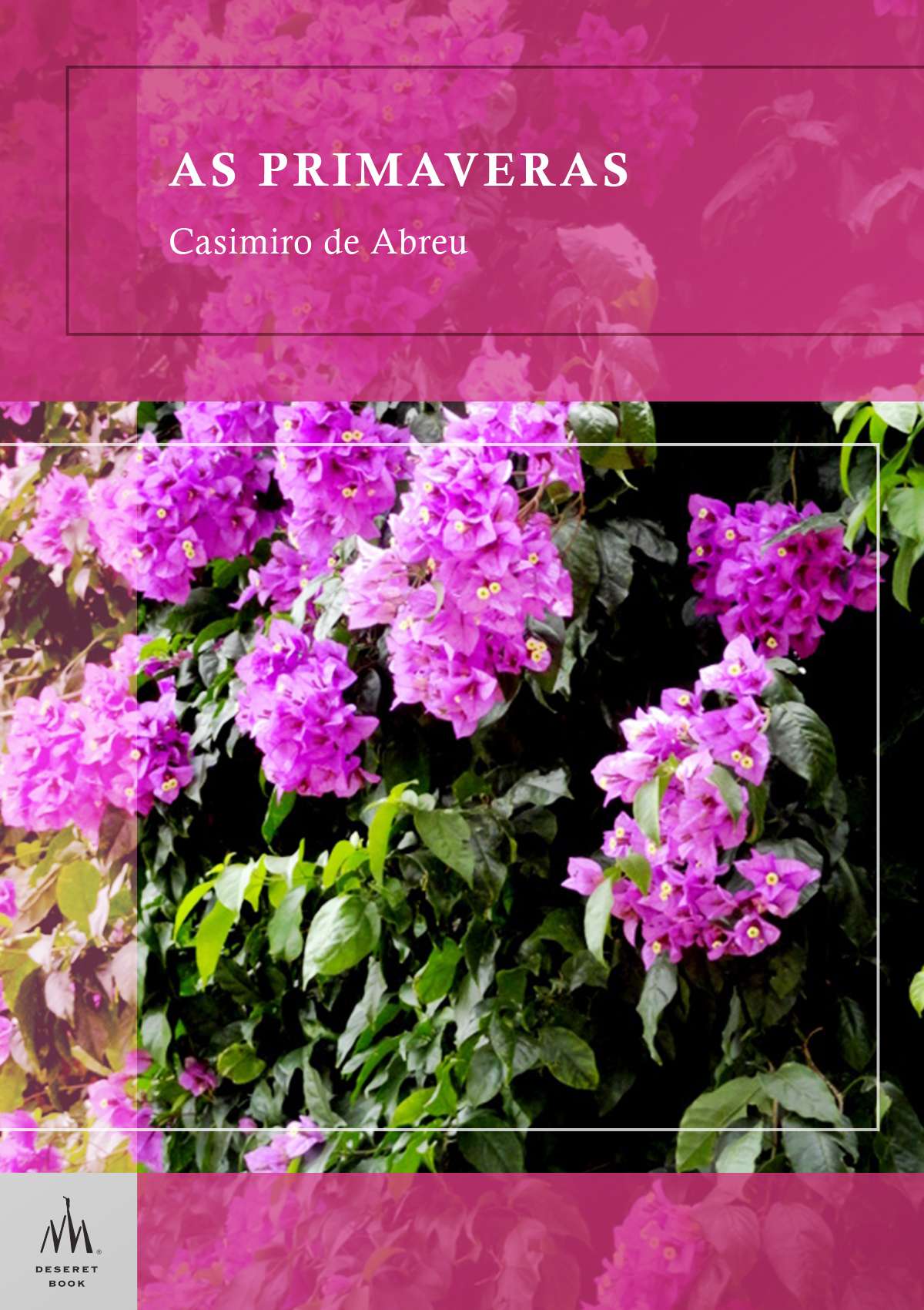 The Springs (Portuguese)