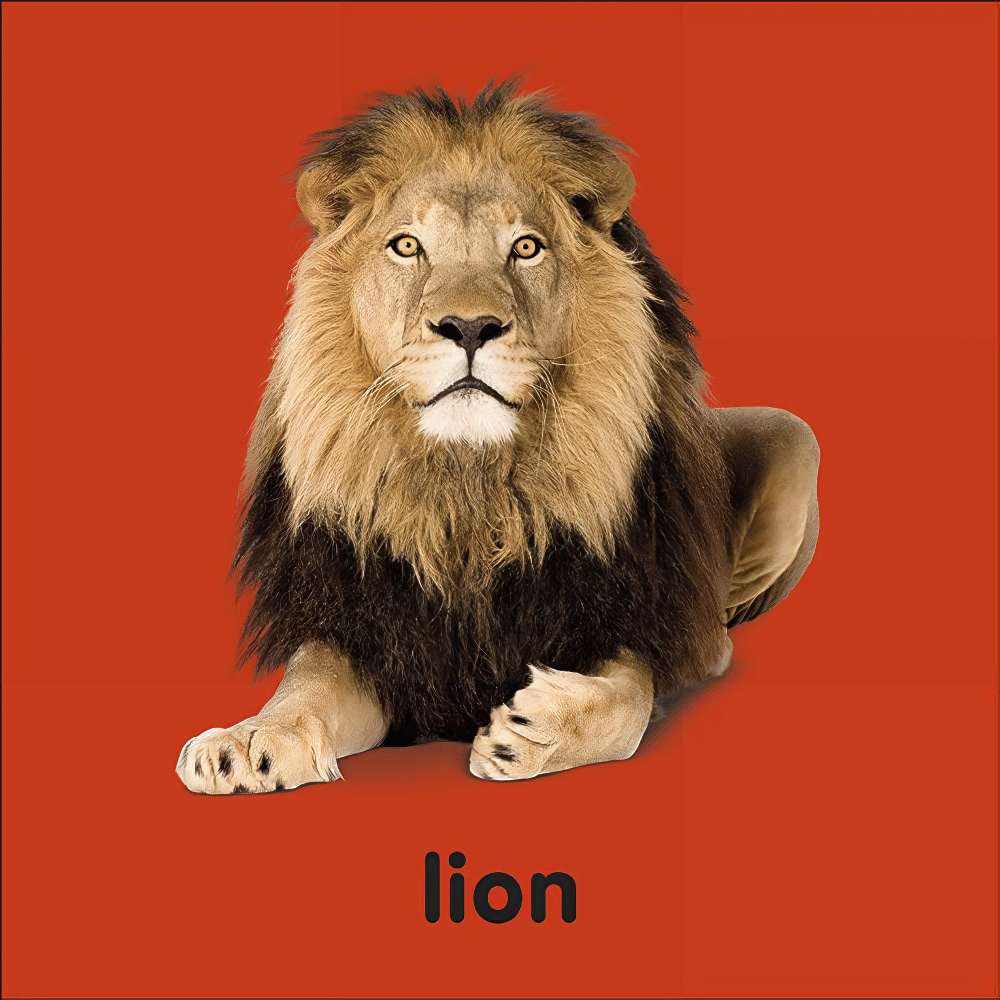 Board Baby Touch And Feel Bible Animals	, , large image number 2