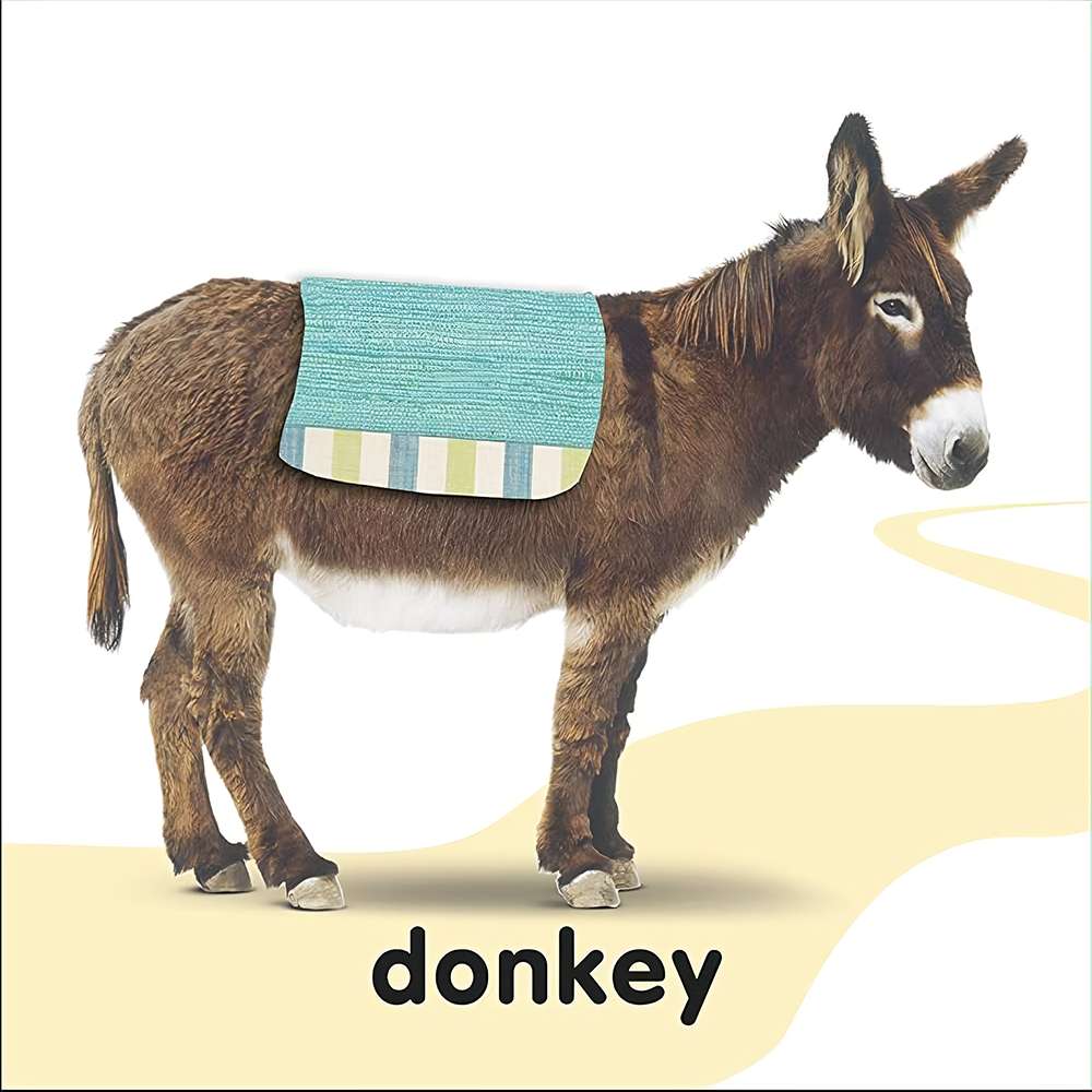 Board Baby Touch And Feel Bible Animals	, , large image number 3