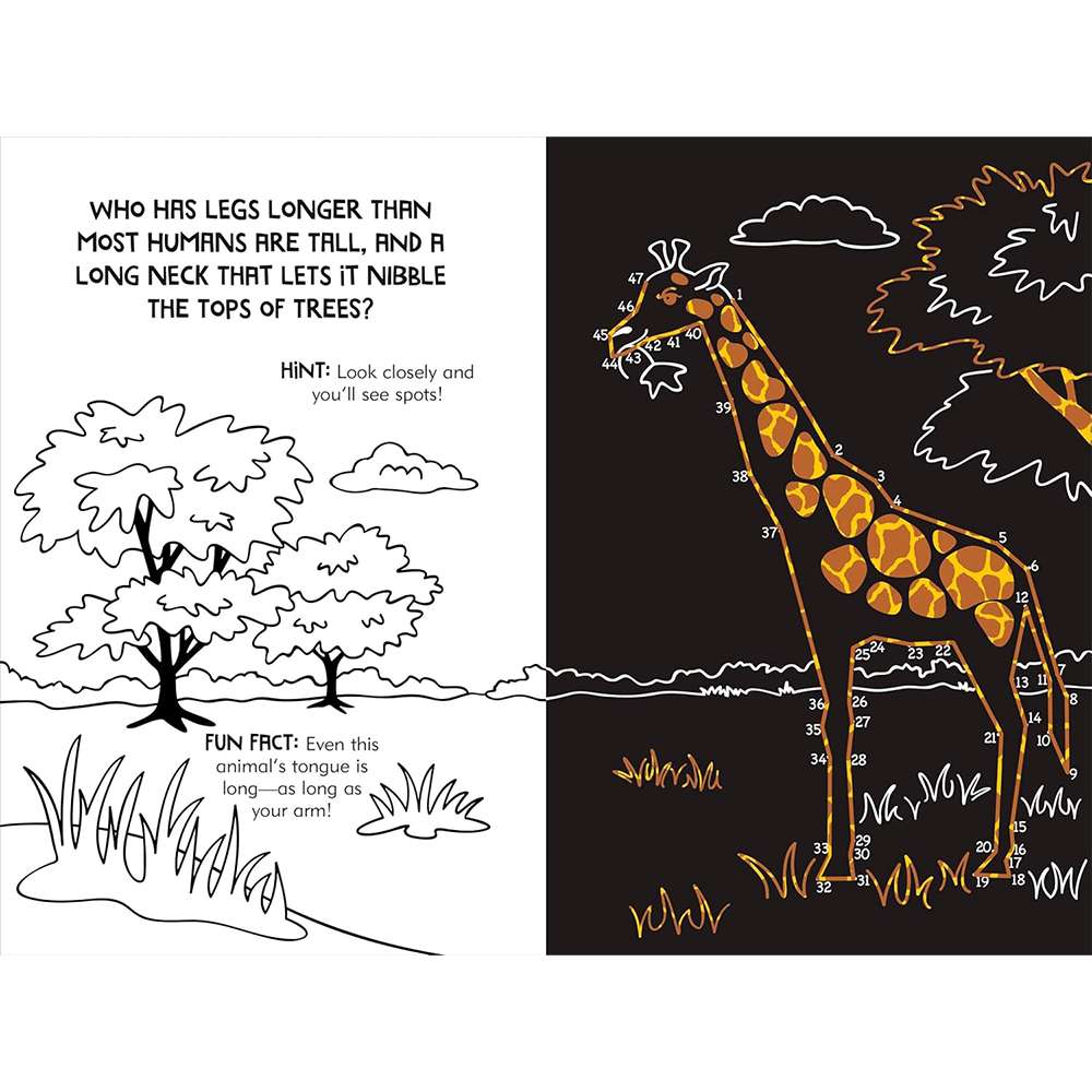 Dot To Dot Animals, , large