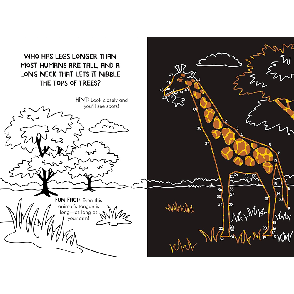 Dot To Dot Animals, , large