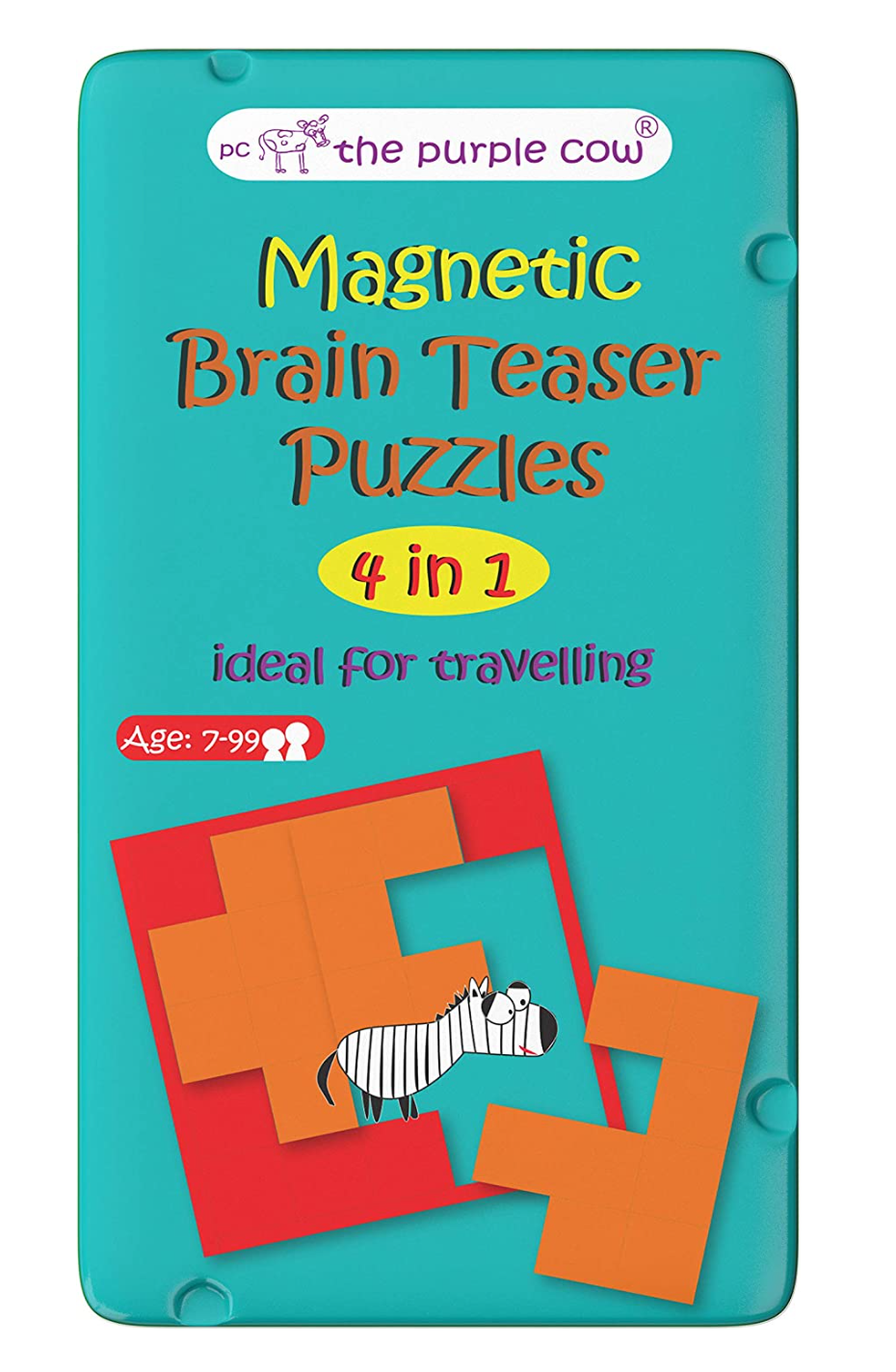 Magnetic Brain Teaser Puzzle Game