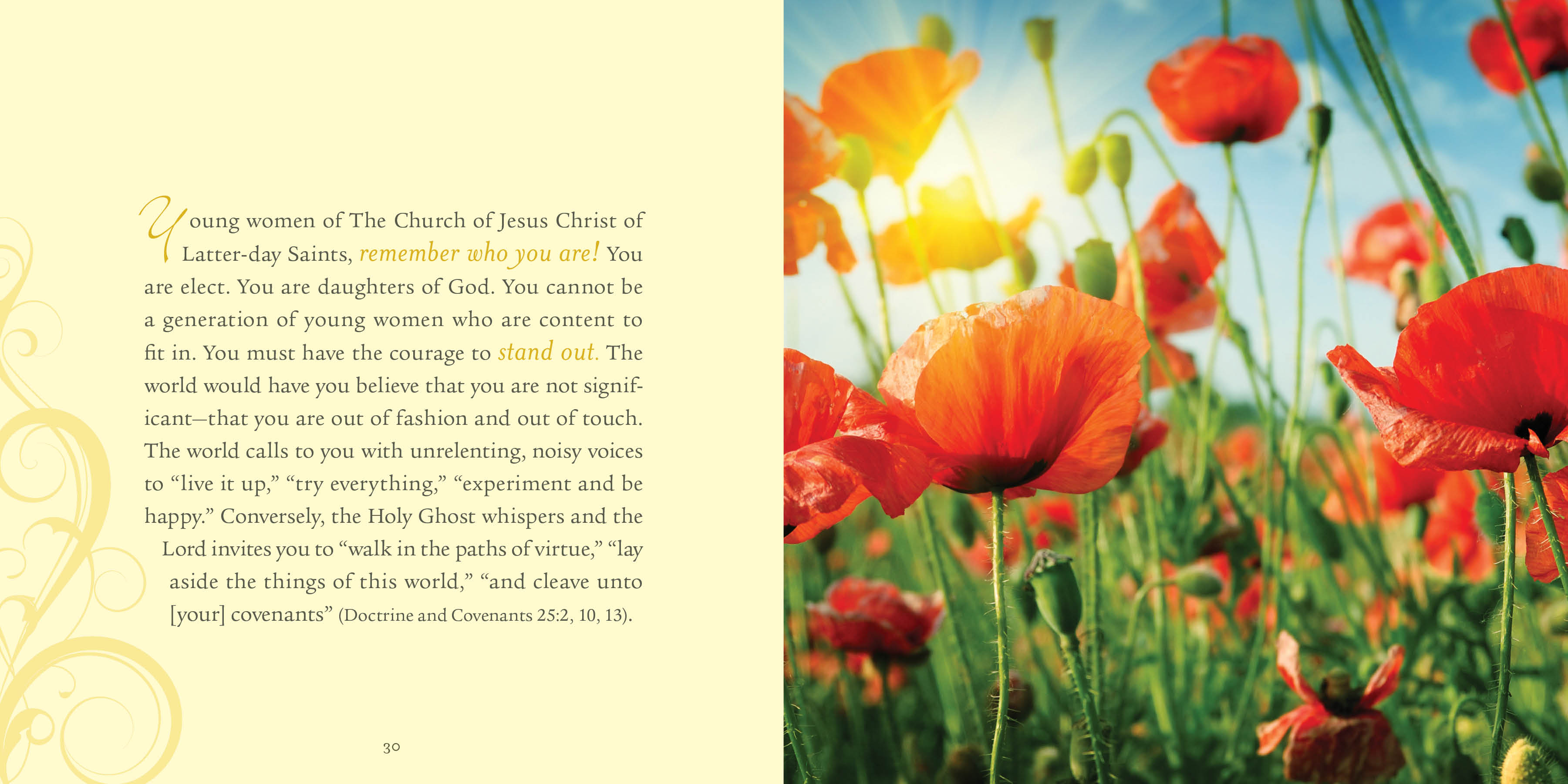 Shine!, , large image number 2