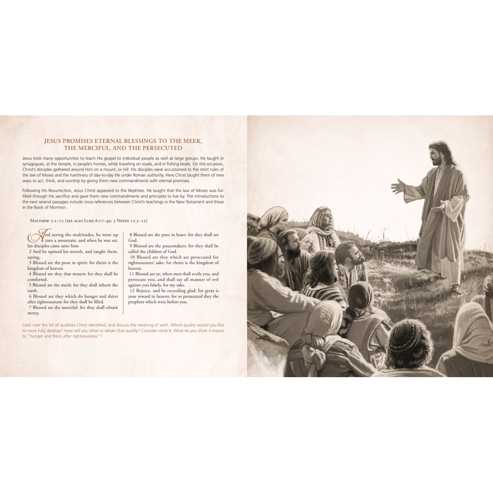 The New Testament Family Reader, , large
