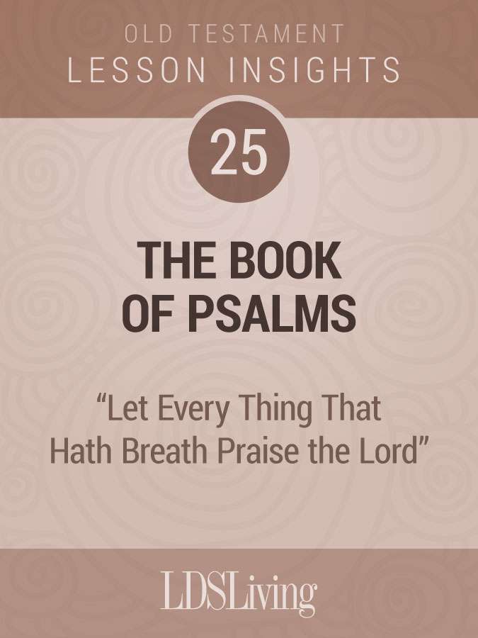 Lesson Insights Old Testament #25