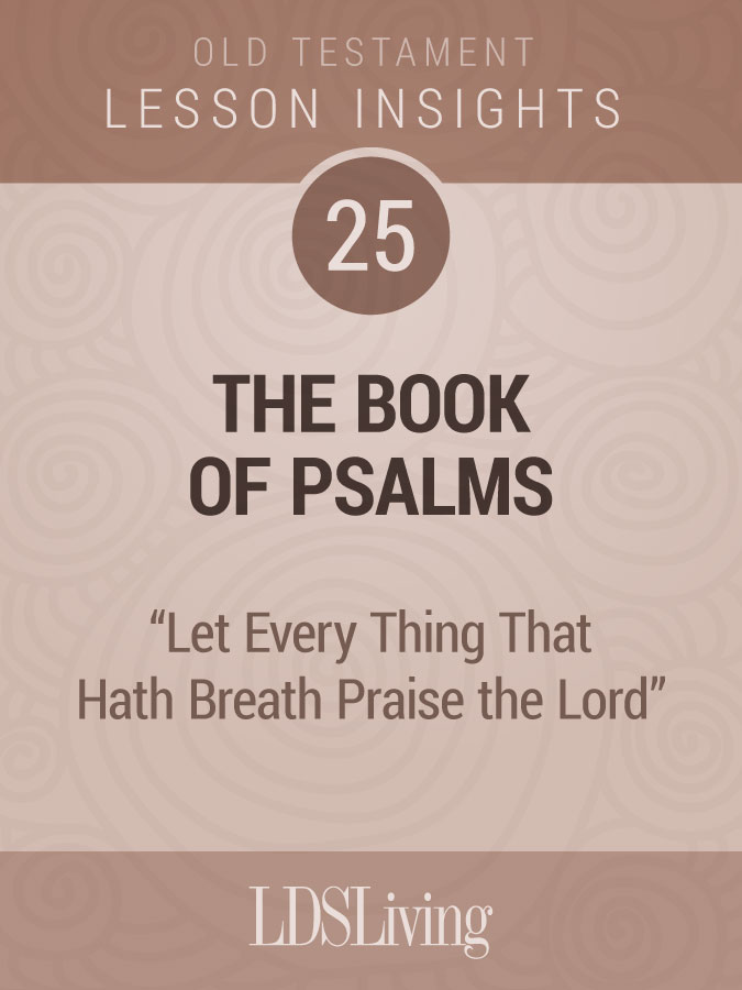 Lesson Insights Old Testament #25