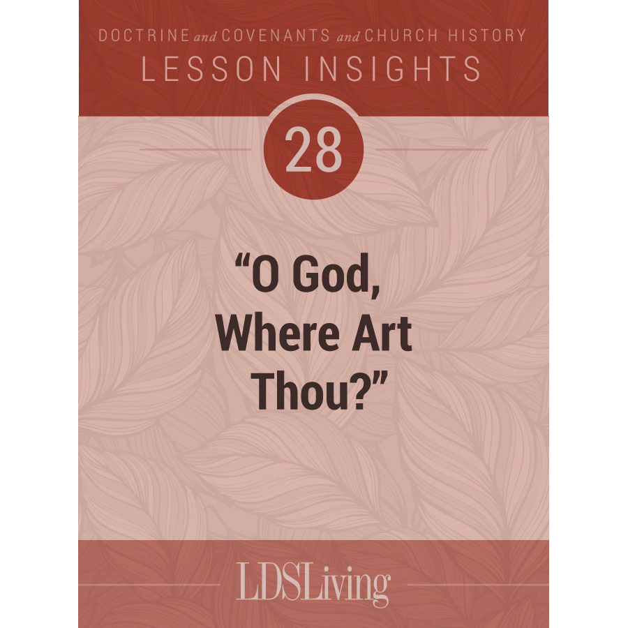 Lesson Insights Doctrine and Covenants and Church History #28
