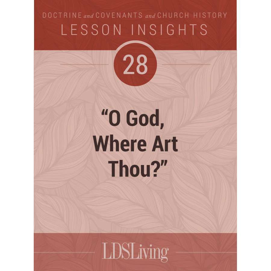 Lesson Insights Doctrine and Covenants and Church History #28