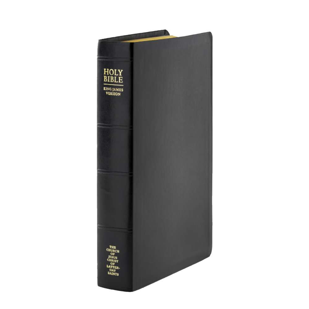Holy Bible Simulated Leather, Large, Indexed, , large image number 2