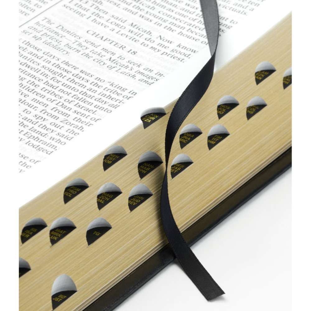 Holy Bible Simulated Leather, Large, Indexed, , large
