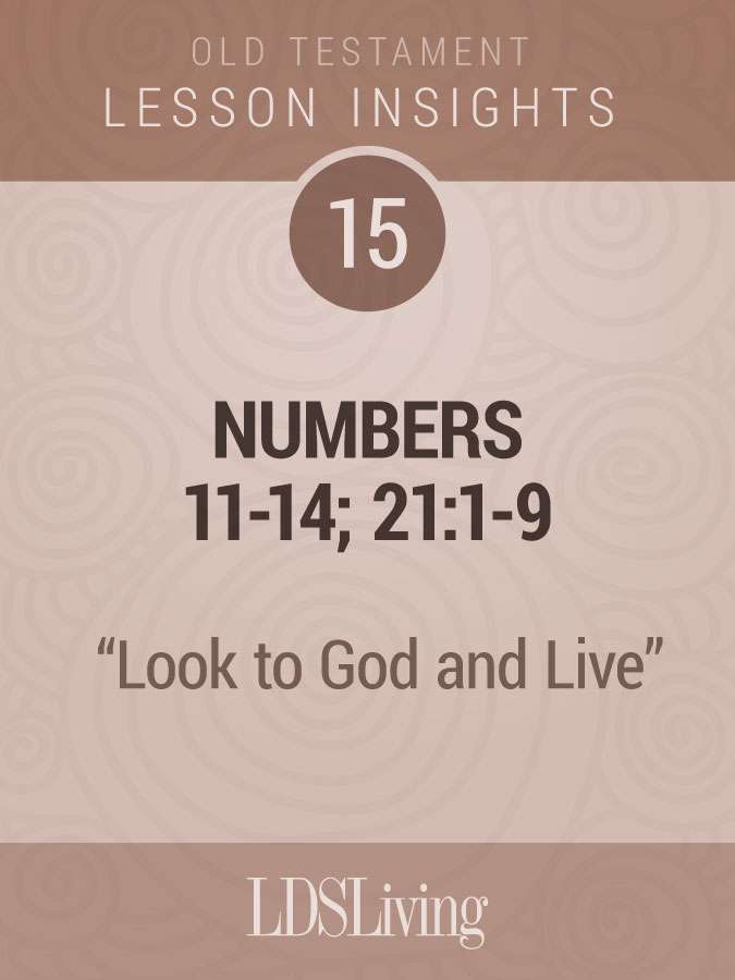 Lesson Insights Old Testament #15