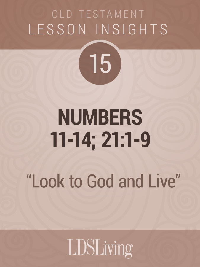 Lesson Insights Old Testament #15, , large image number 0