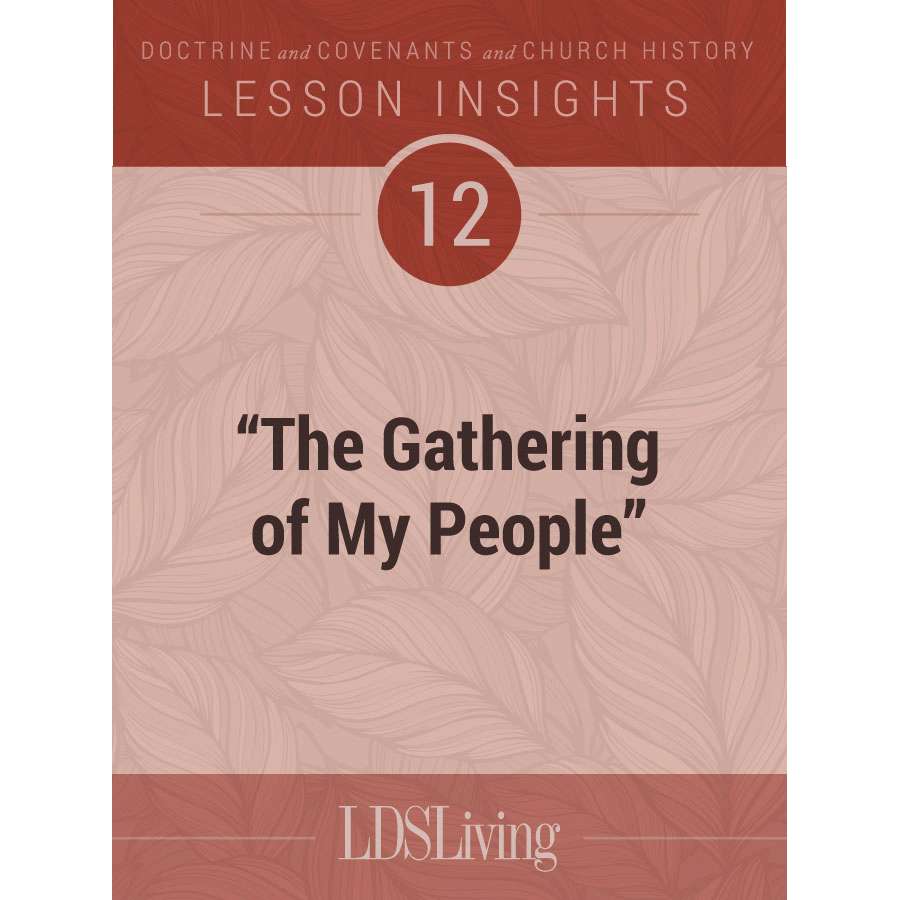 Lesson Insights Doctrine and Covenants and Church History #12