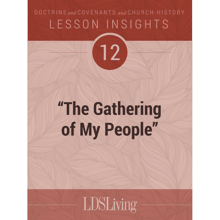 Lesson Insights Doctrine and Covenants and Church History #12