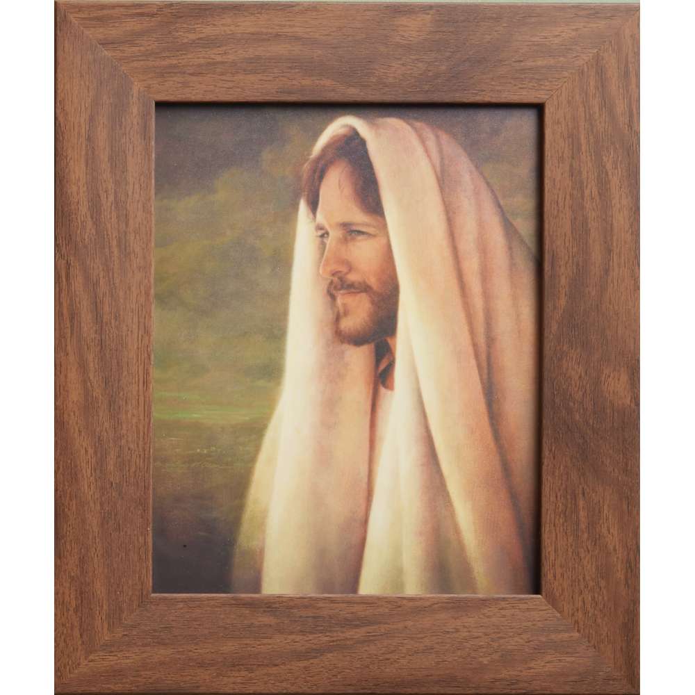 Gentle Healer (11.5x13.5 Framed Textured Print), , large image number 0