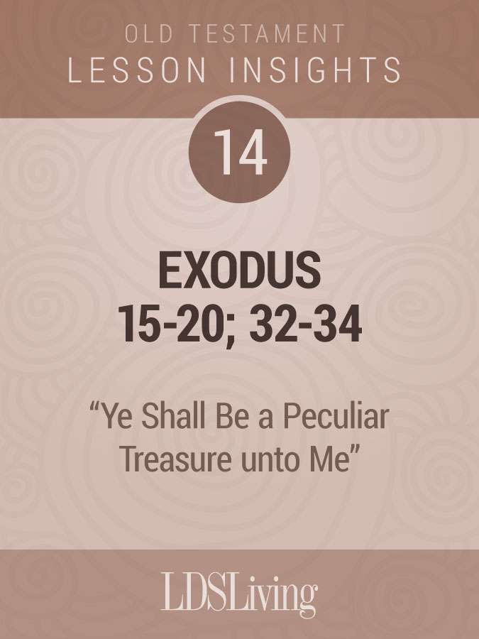 Lesson Insights Old Testament #14
