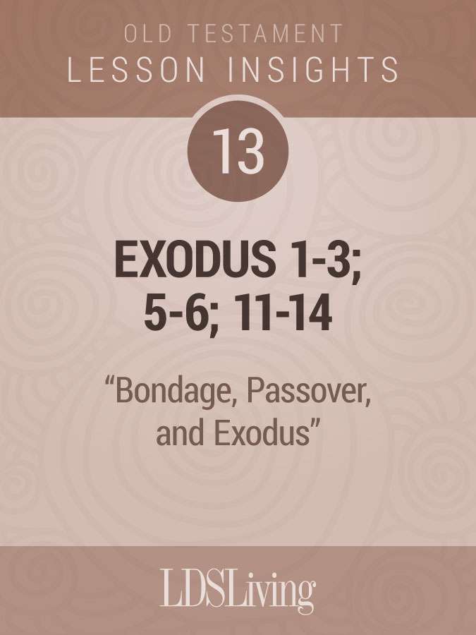 Lesson Insights Old Testament #13