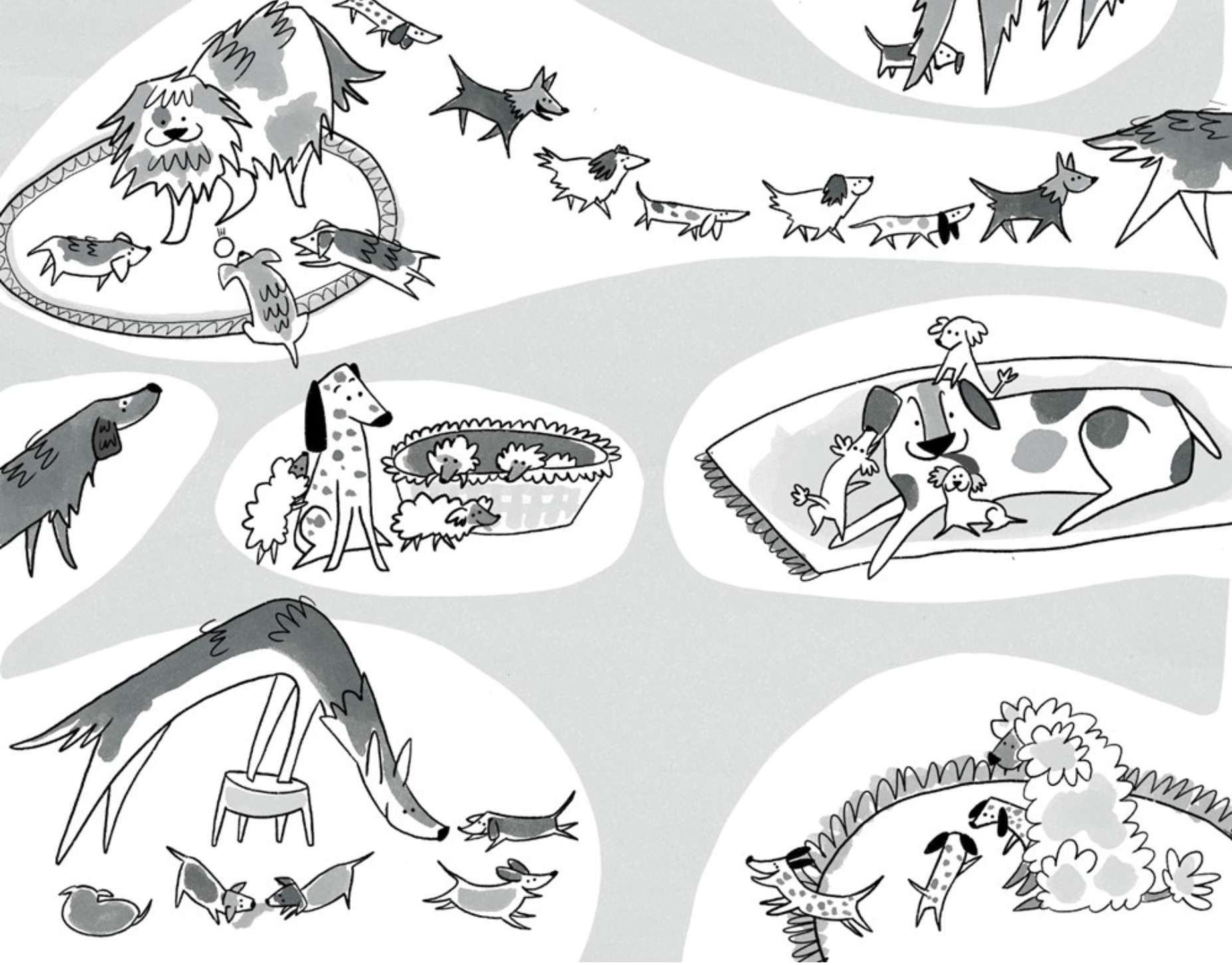 Dogtown, , large image number 2