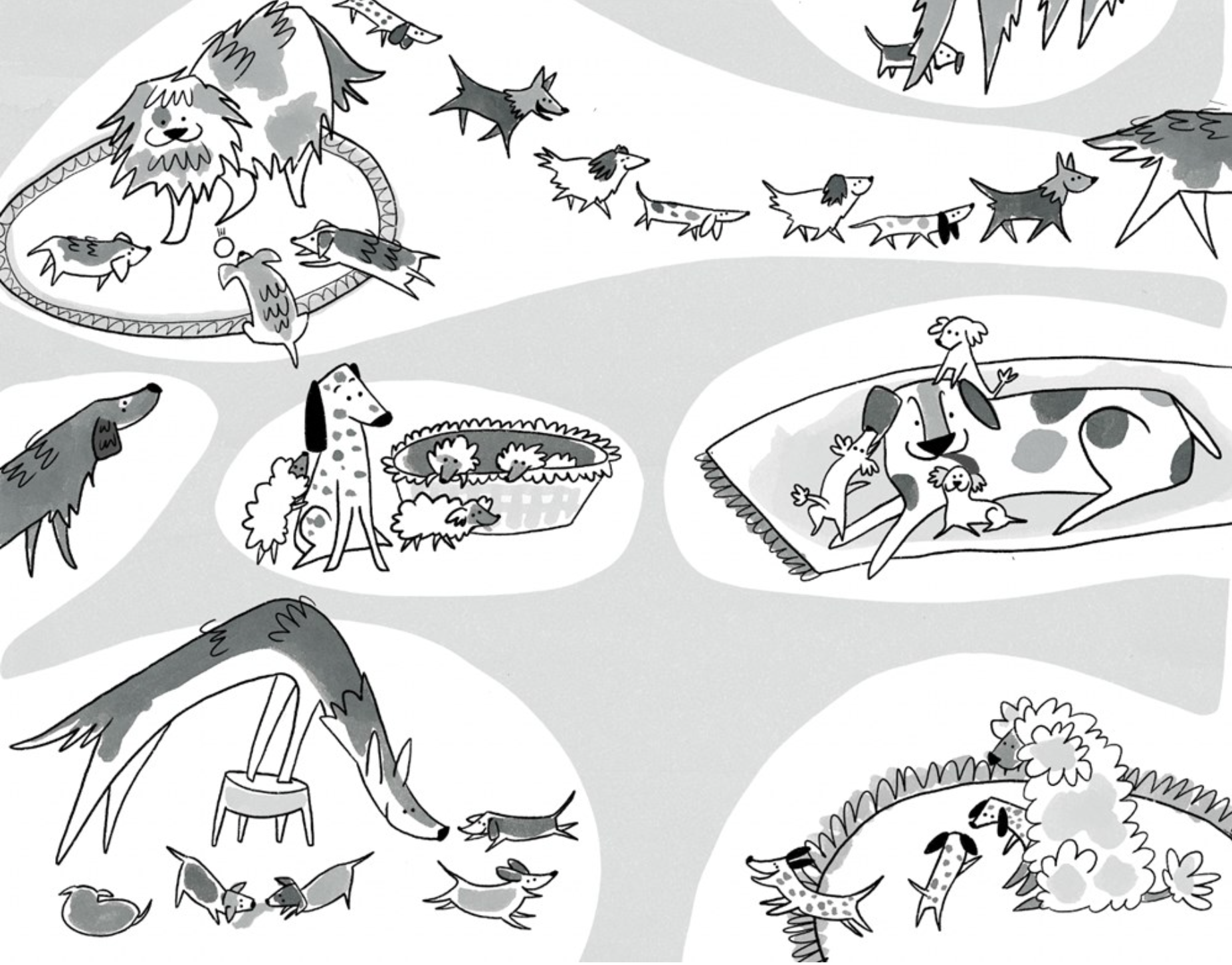 Dogtown, , large image number 2