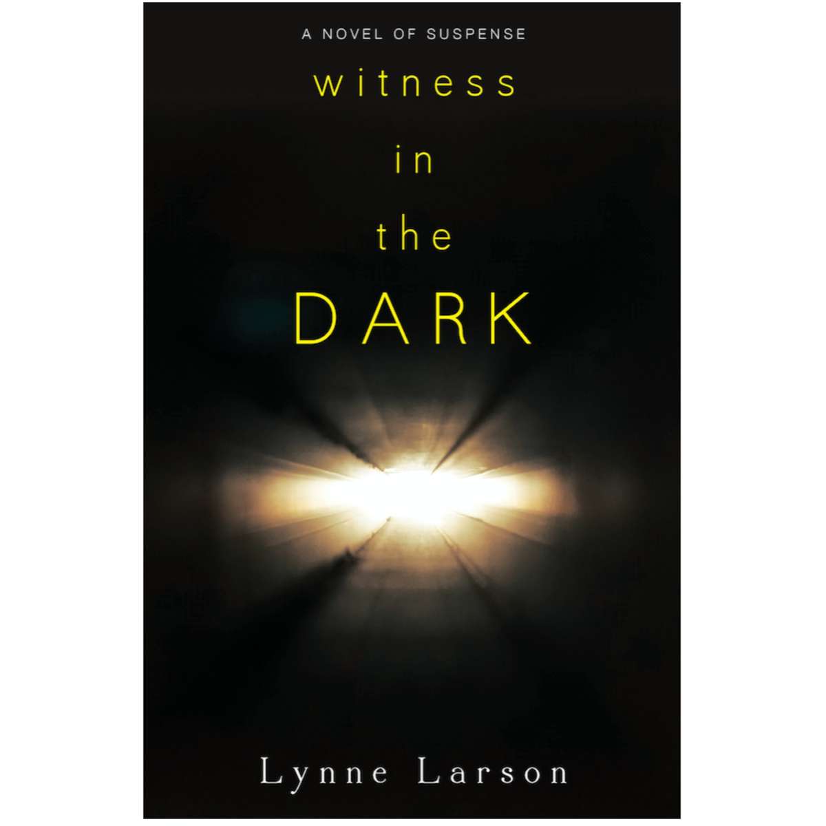 Witness in the Dark