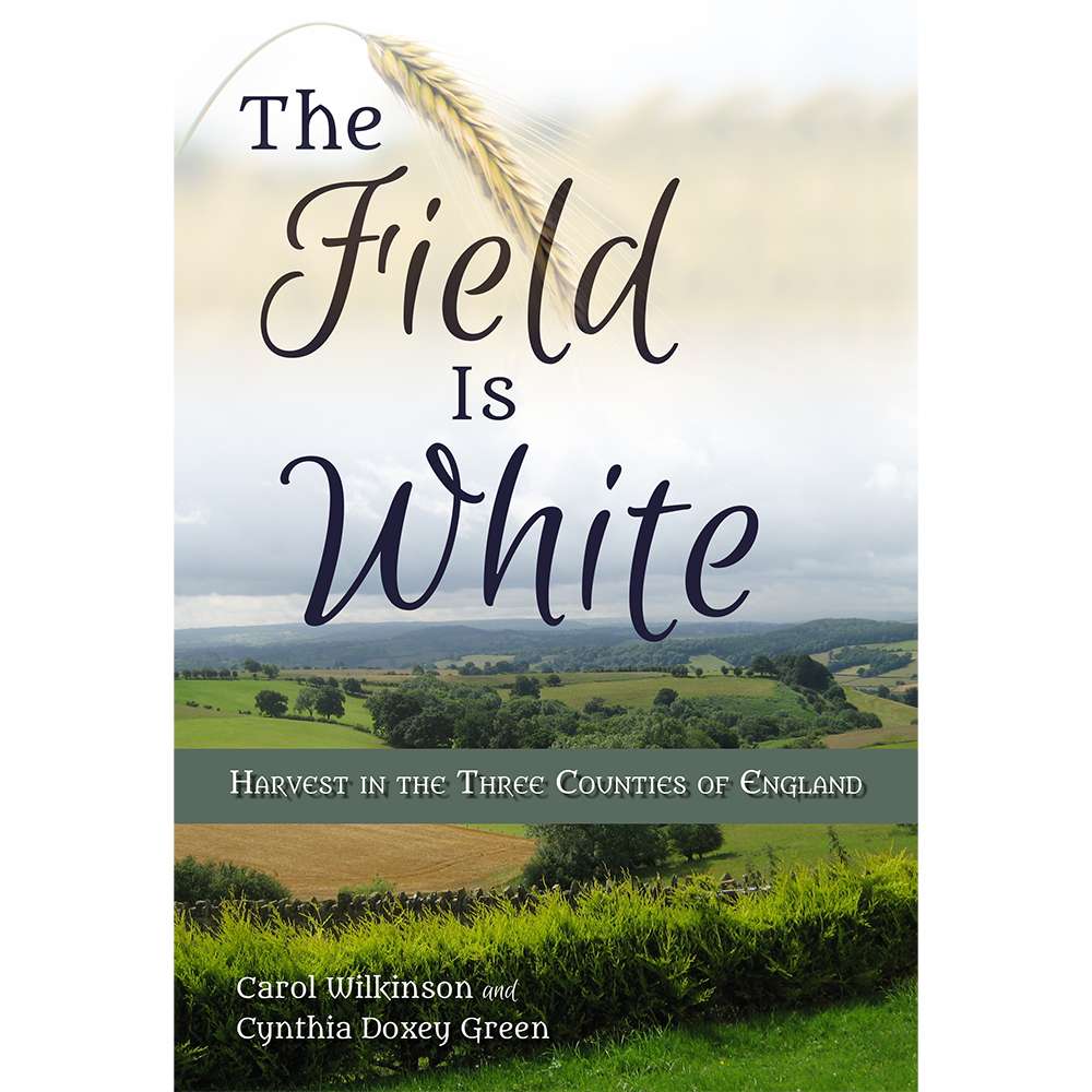 The Field is White