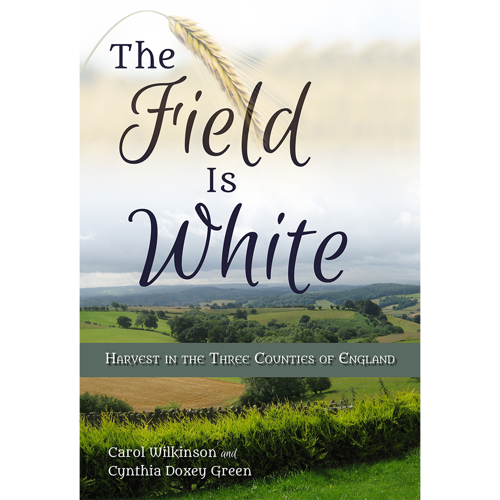 The Field is White, , large image number 0