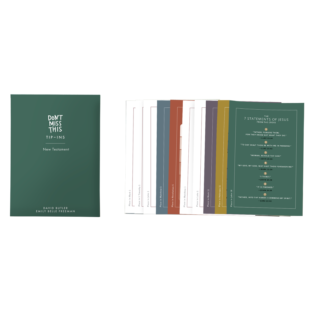 Don't Miss This Tip-Ins for The New Testament, , large