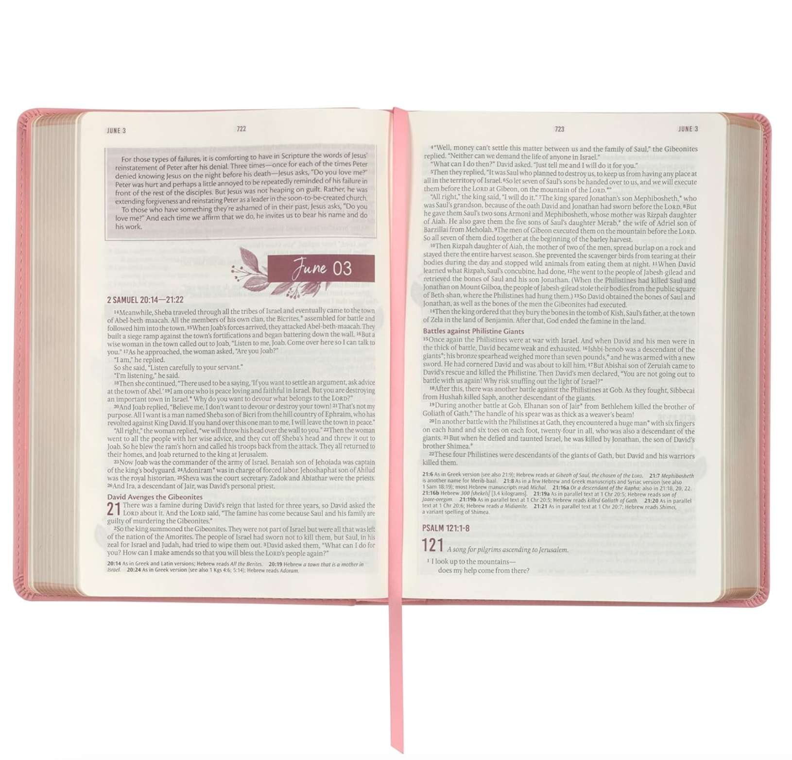 NLT Everyday Devotional Bible for Women, , large image number 2