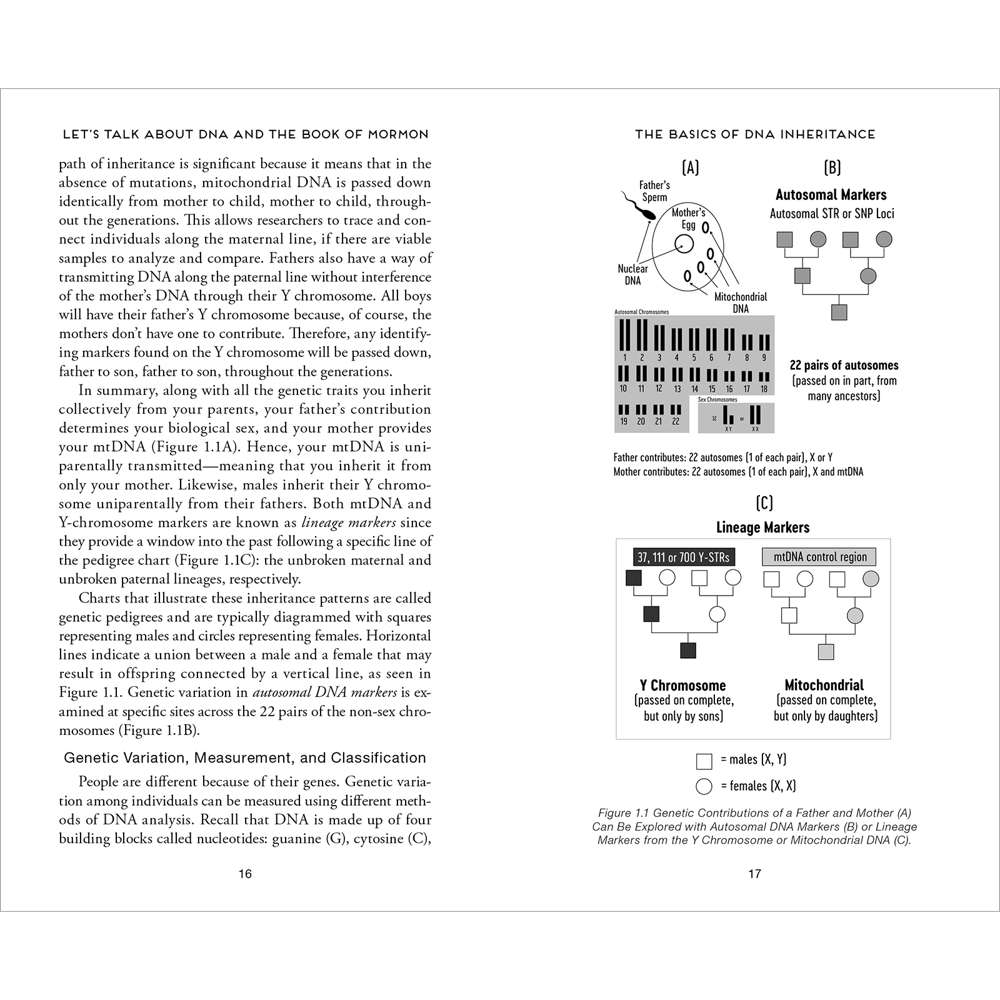 Let's Talk About Misconceptions with DNA and the Book of Mormon - BUTLER, JOHN M.; PEREGO, UGO A. 7