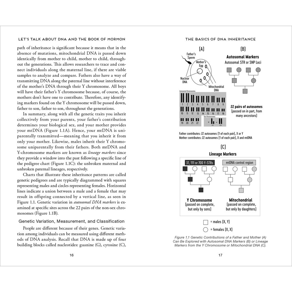 Let's Talk about Misconceptions with DNA and the Book of Mormon, , large image number 5