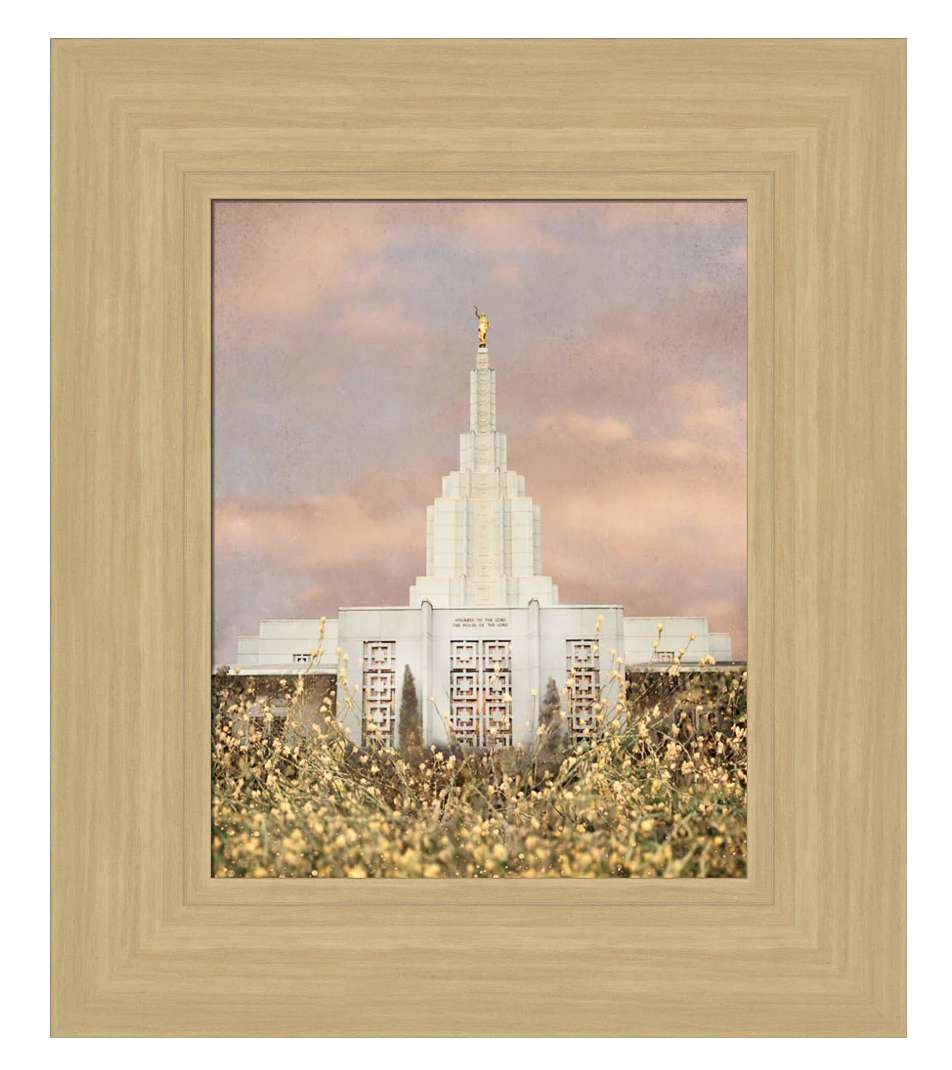 Idaho Falls Idaho Temple - Giving Rest (12x14 Framed Paper Print), , large image number 0