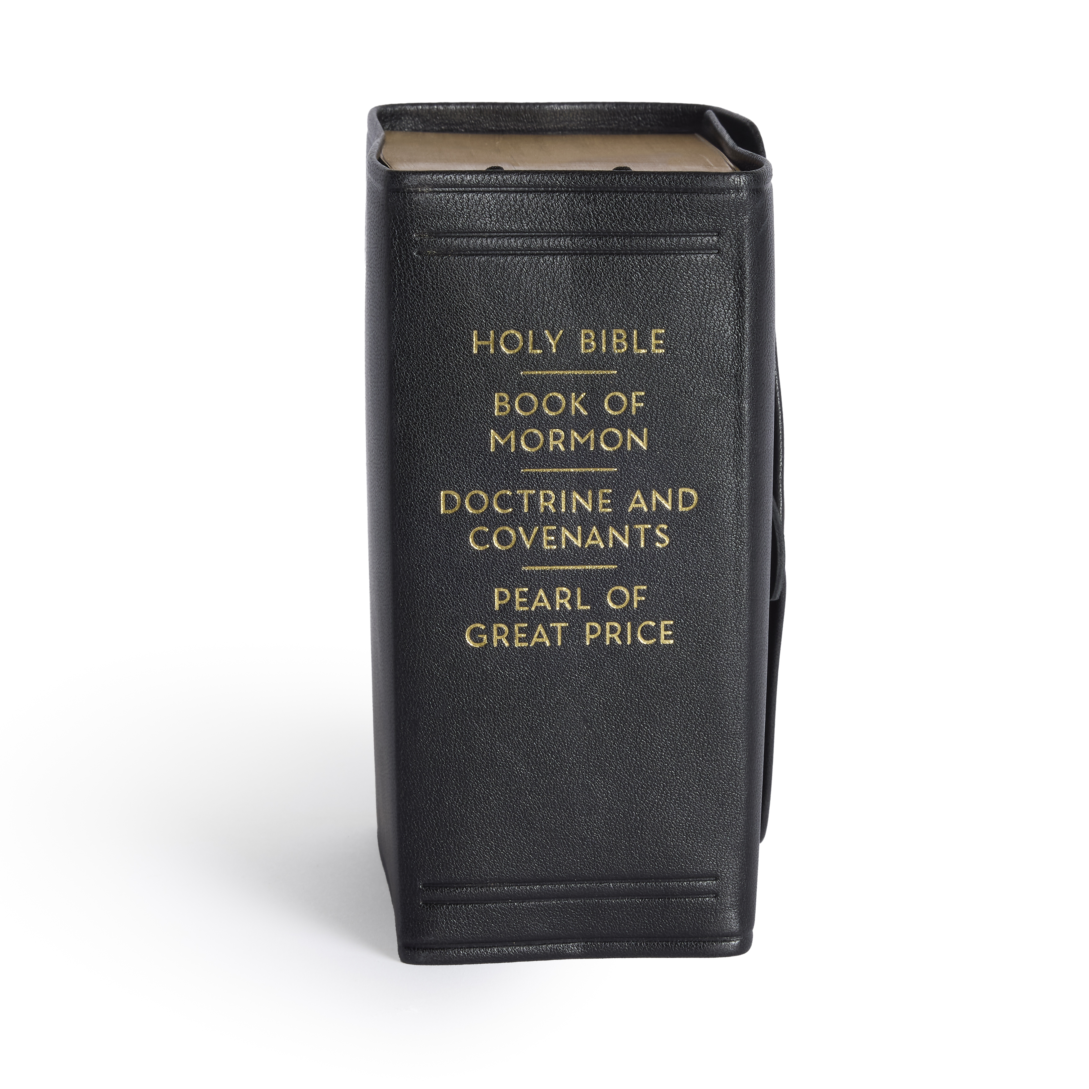 Genuine Leather Snap Quad Combination, Compact (Color Options), , large image number 8