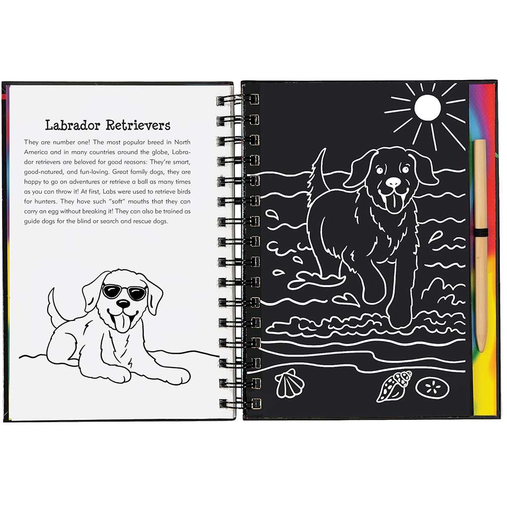 Puppies Scratch And Sketch, , large