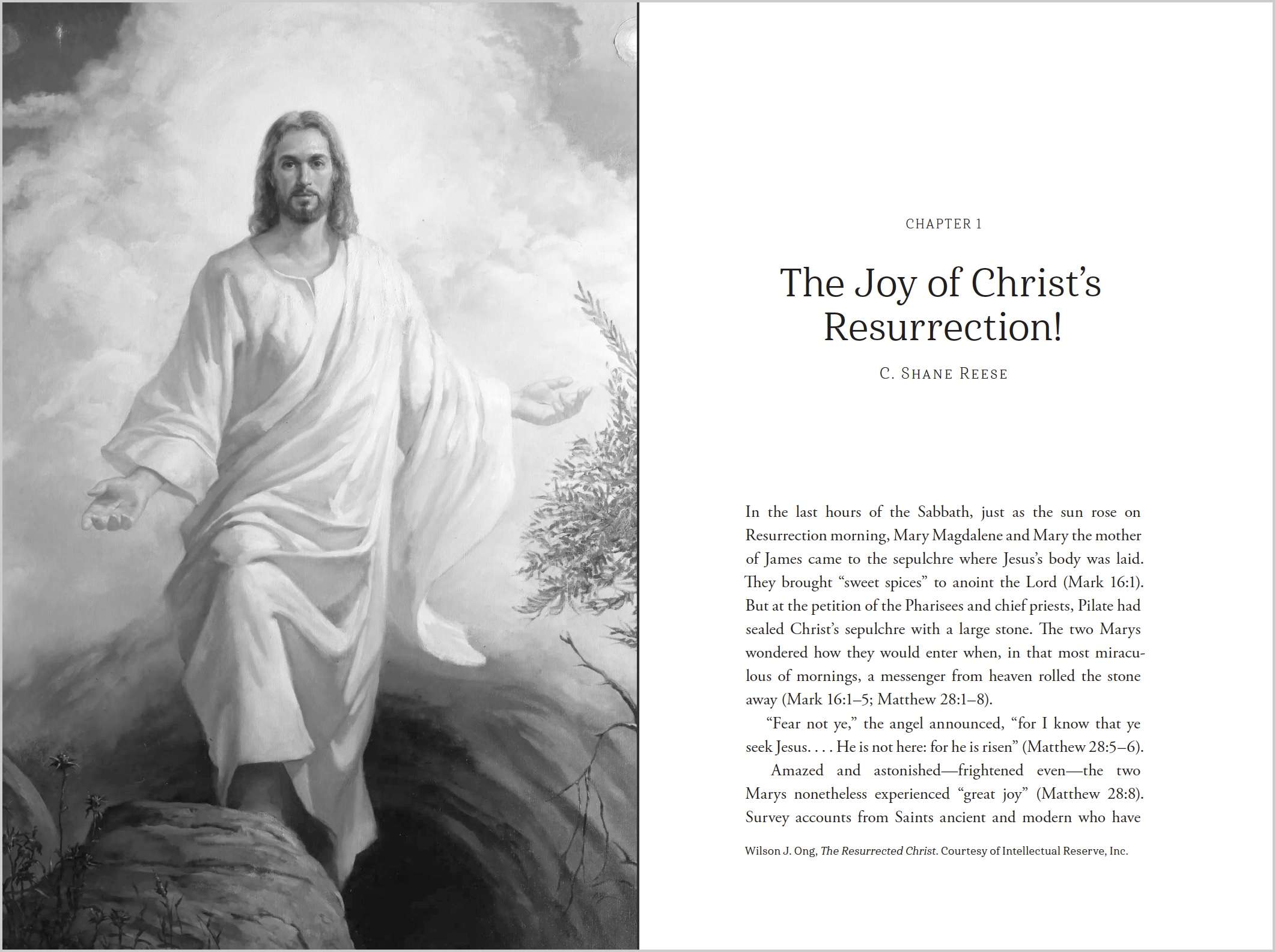 Life in Christ, , large image number 3