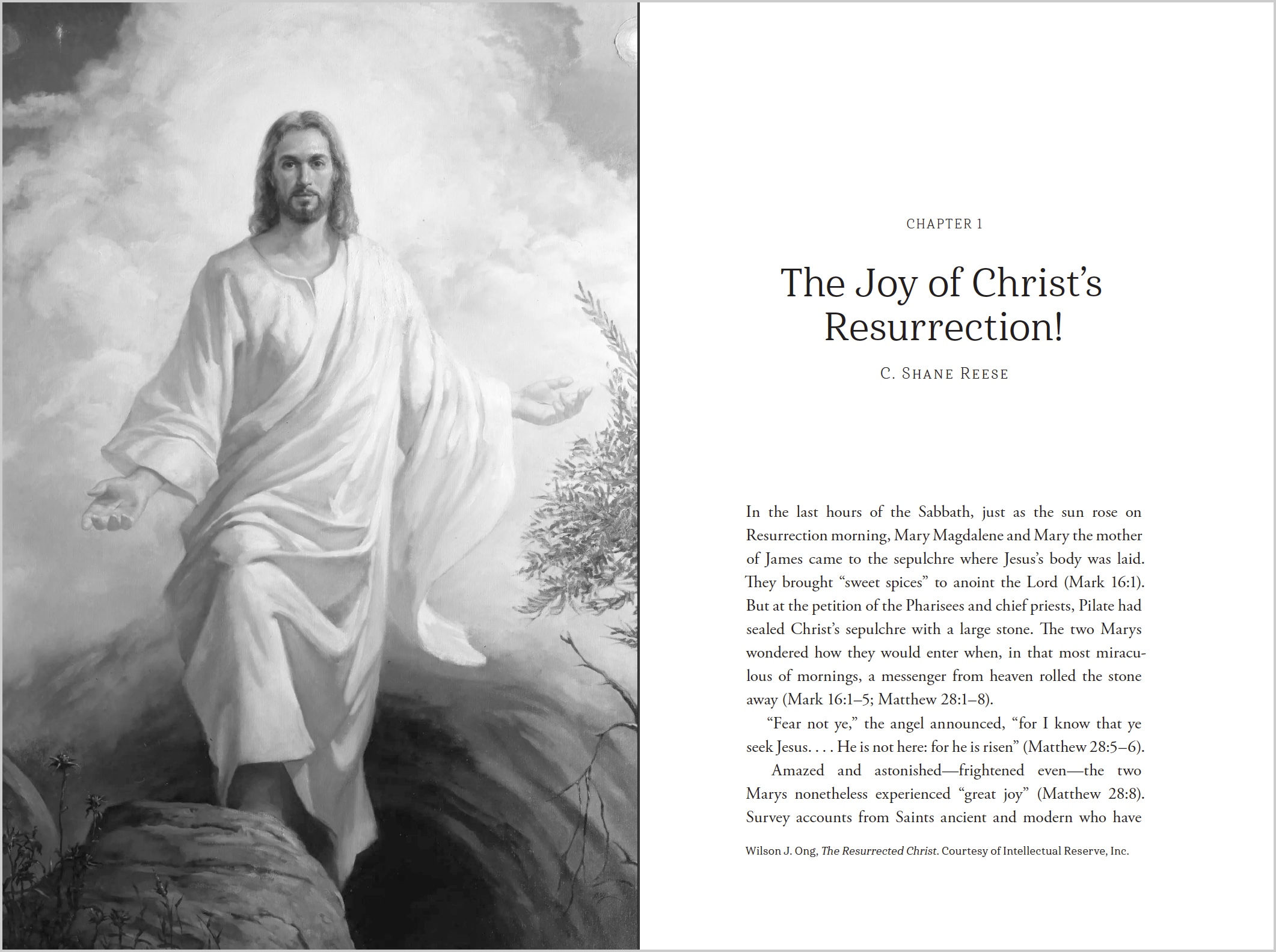 Life in Christ, , large image number 3