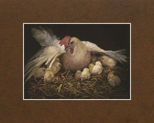 I Would Gather Thee (8x10 Matted Print)