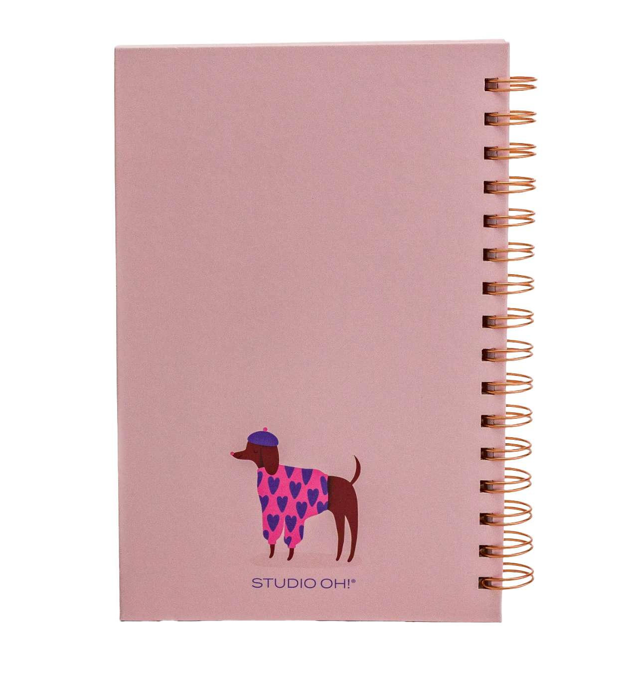 Bonjour Mes Amis Journal, , large