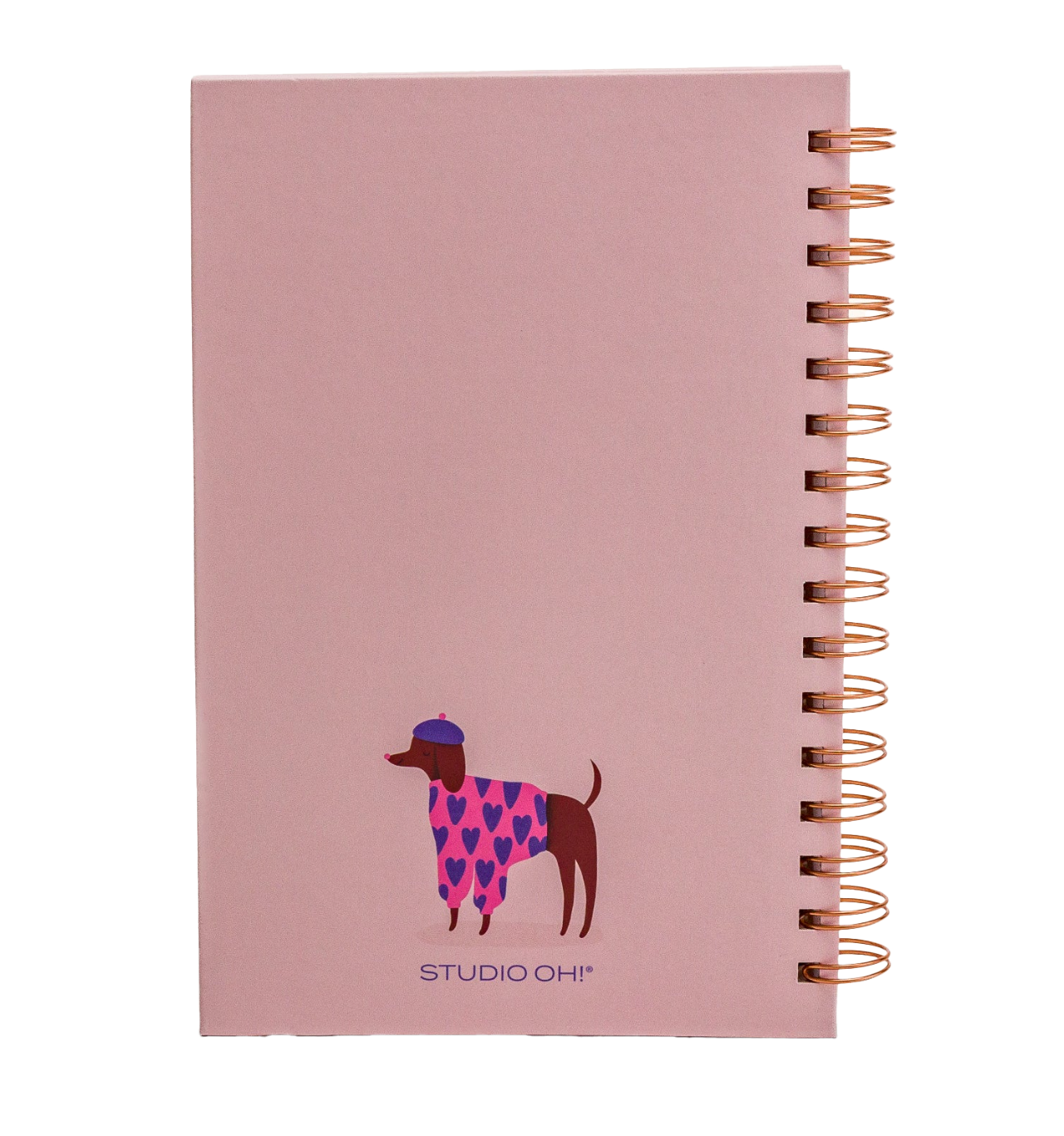 Bonjour Mes Amis Journal, , large