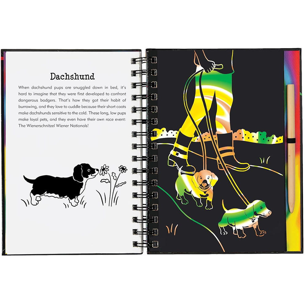 Puppies Scratch And Sketch, , large image number 3