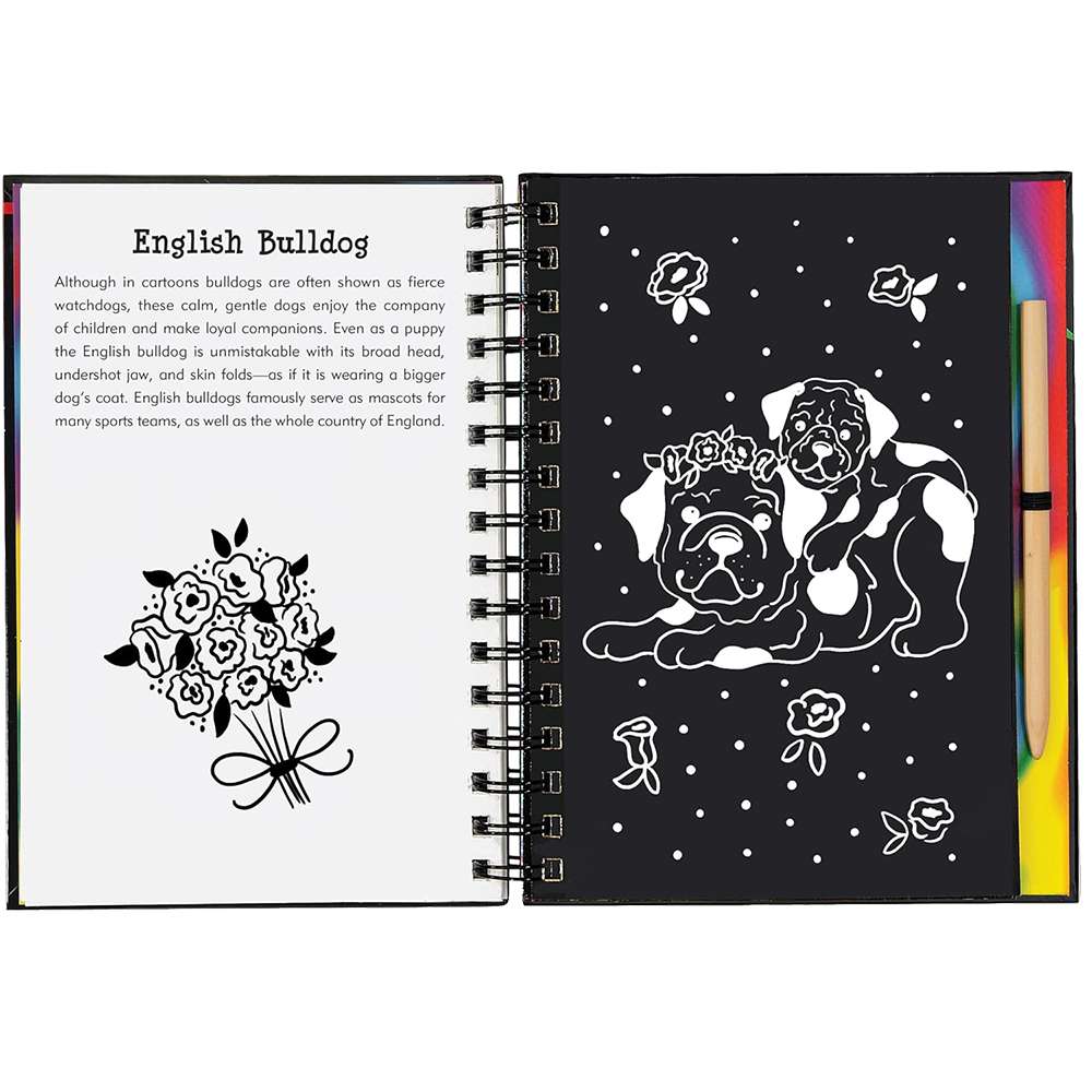 Puppies Scratch And Sketch, , large image number 5