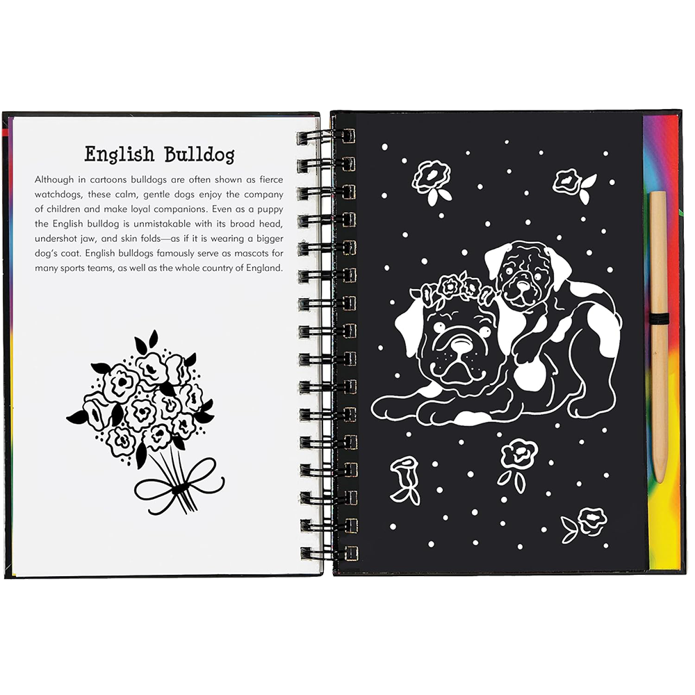 Puppies Scratch And Sketch, , large image number 5