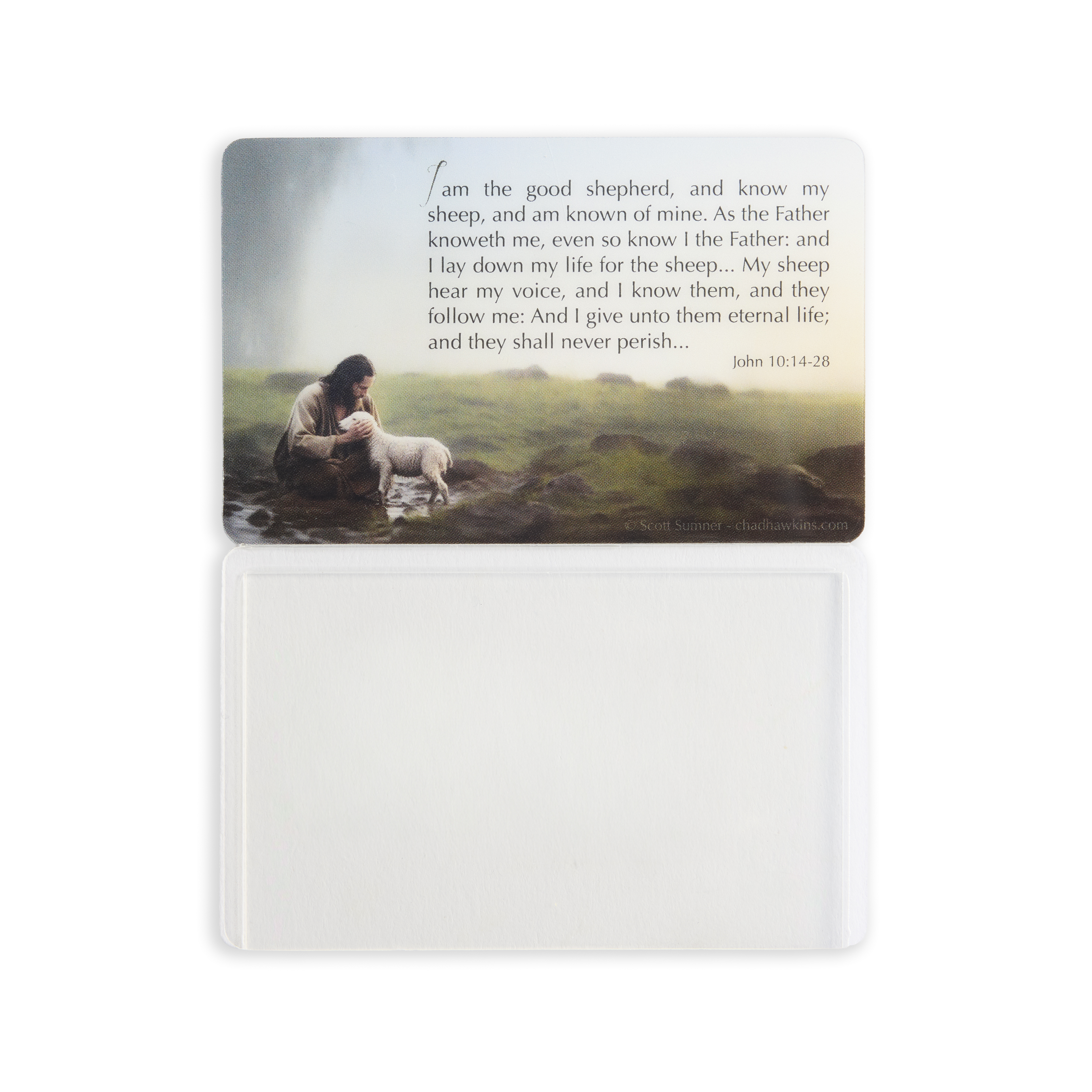 Found Recommend Holder, , large