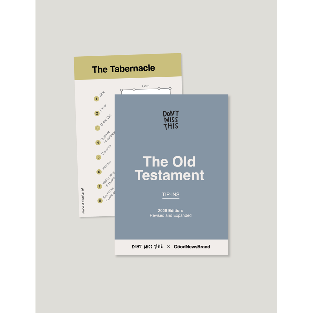 Don't Miss This Old Testament 2026 Tip-In Set for Adults, , large image number 2