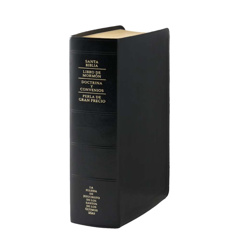 Spanish Quad Combination, Simulated Leather, Regular, Indexed
